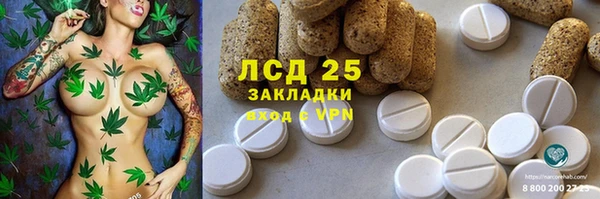 дживик Алзамай