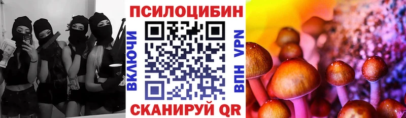 Псилоцибиновые грибы прущие грибы  Балабаново 